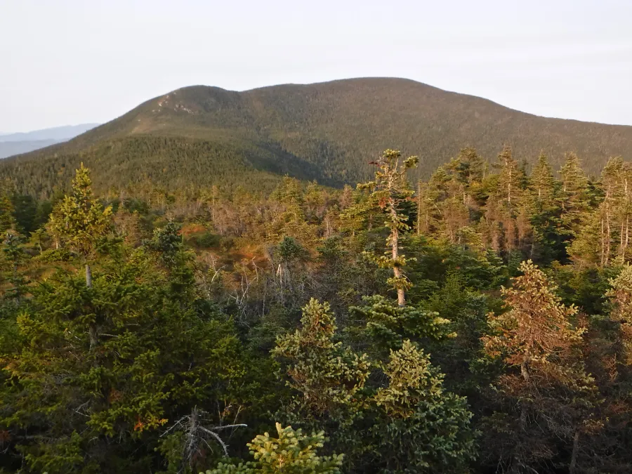 View of Old Speck