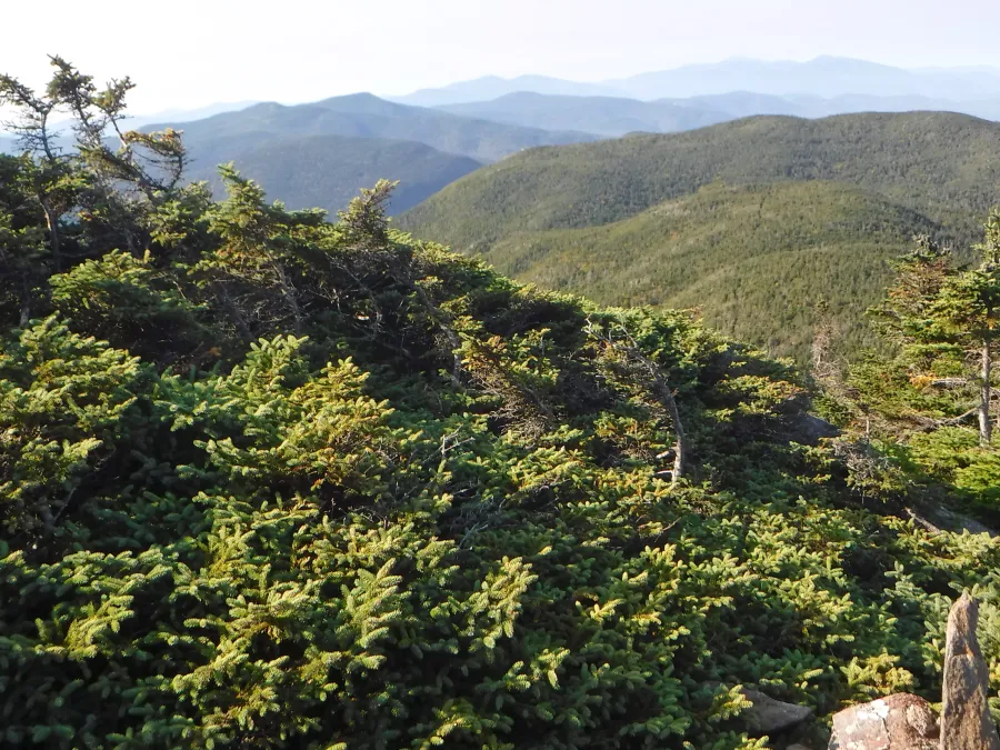 View from Old Speck Mountain