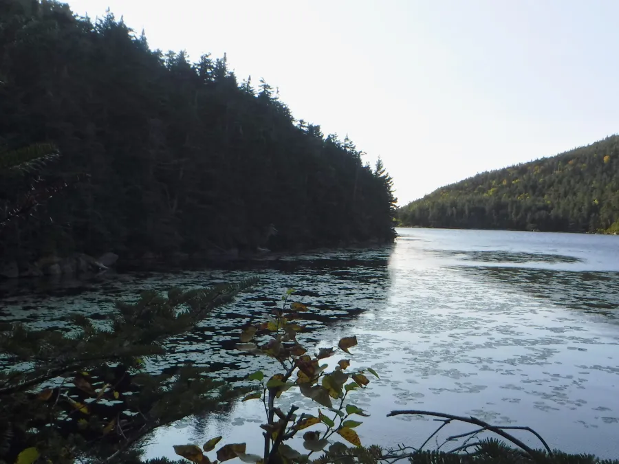 Speck Pond