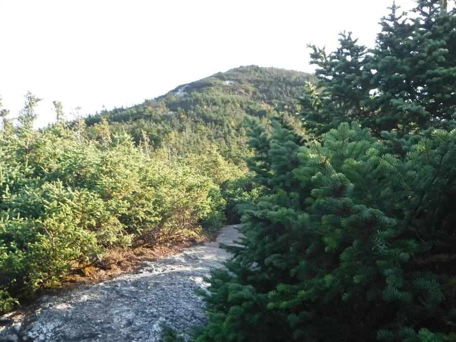 View of Old Speck Mountain