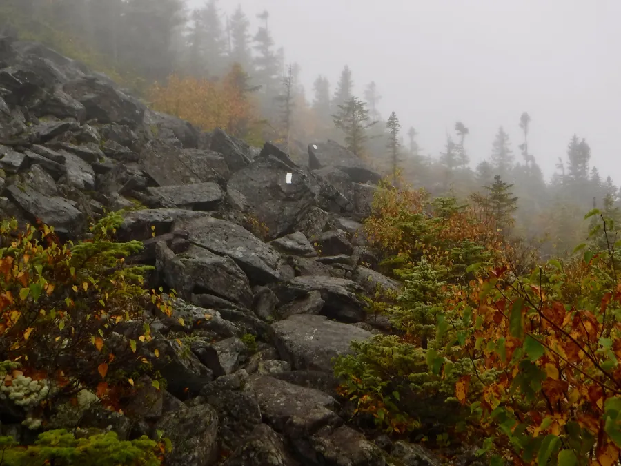 Rock slide on South Crocker Mountain