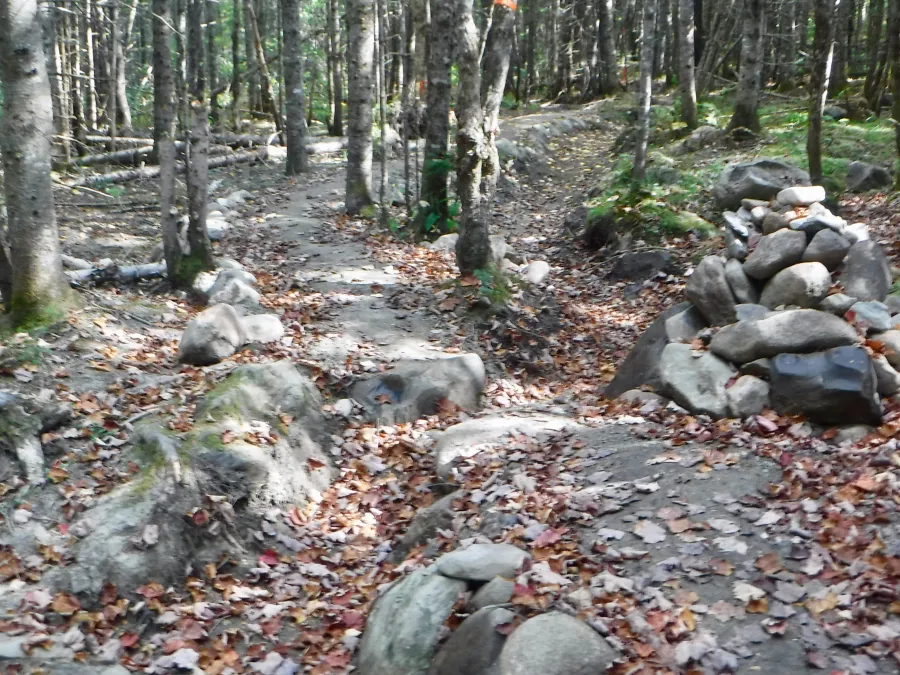 Maintained trail