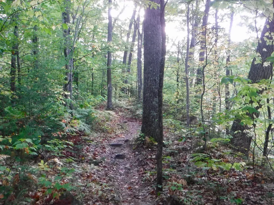 Early morning sun on the trail