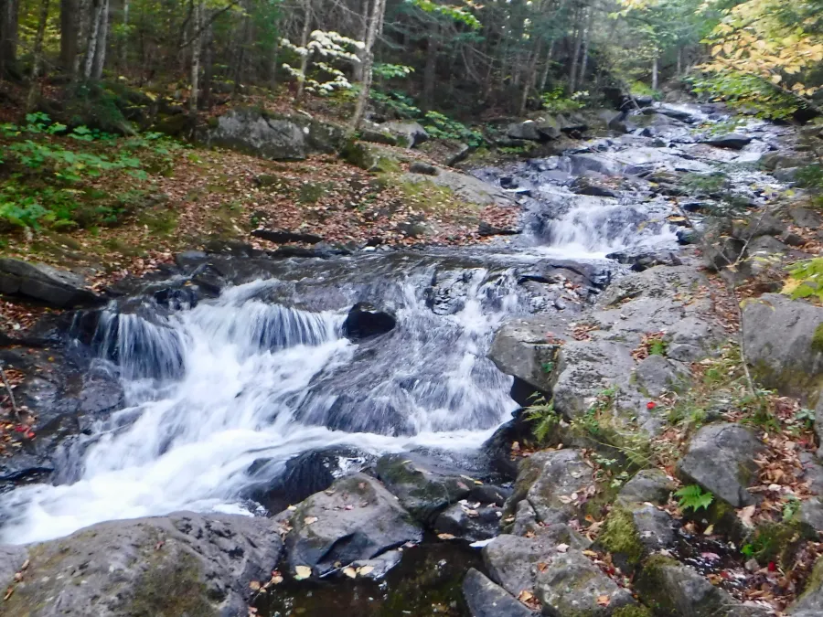 Cooper Brook Falls