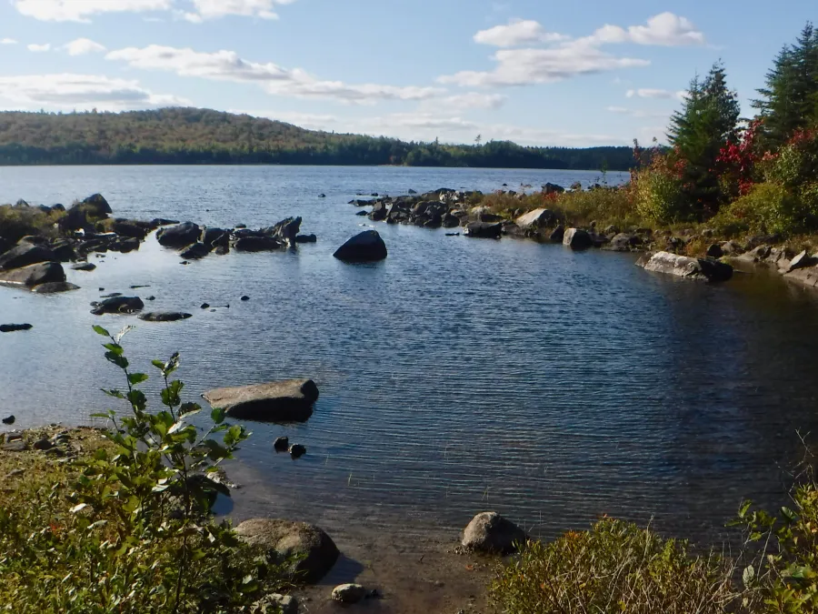 Crawford Pond