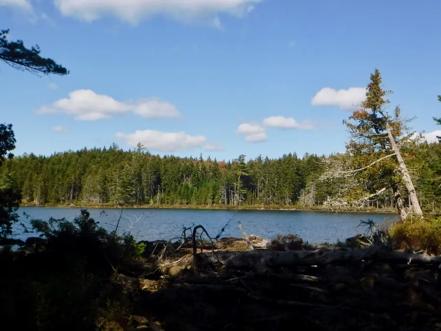 Mountain View Pond