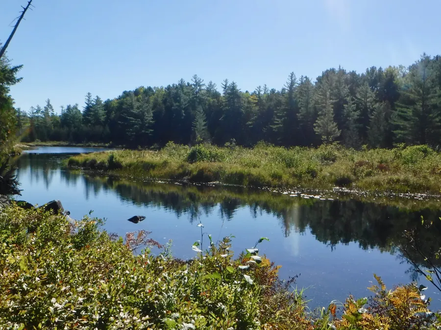 Cooper Pond