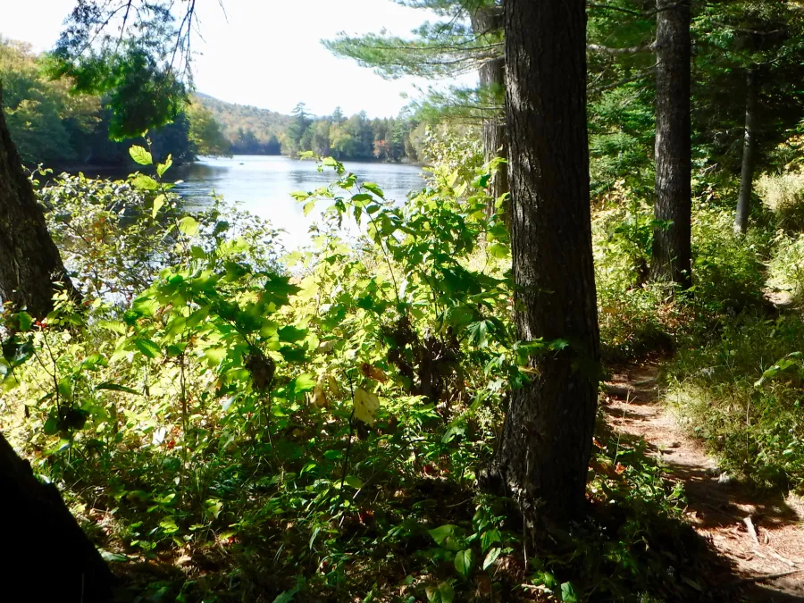 Penobscot River