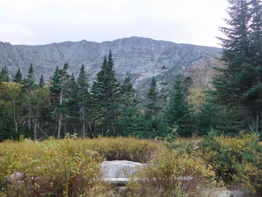 View of Pamola and ridge near Mt. Katahdin