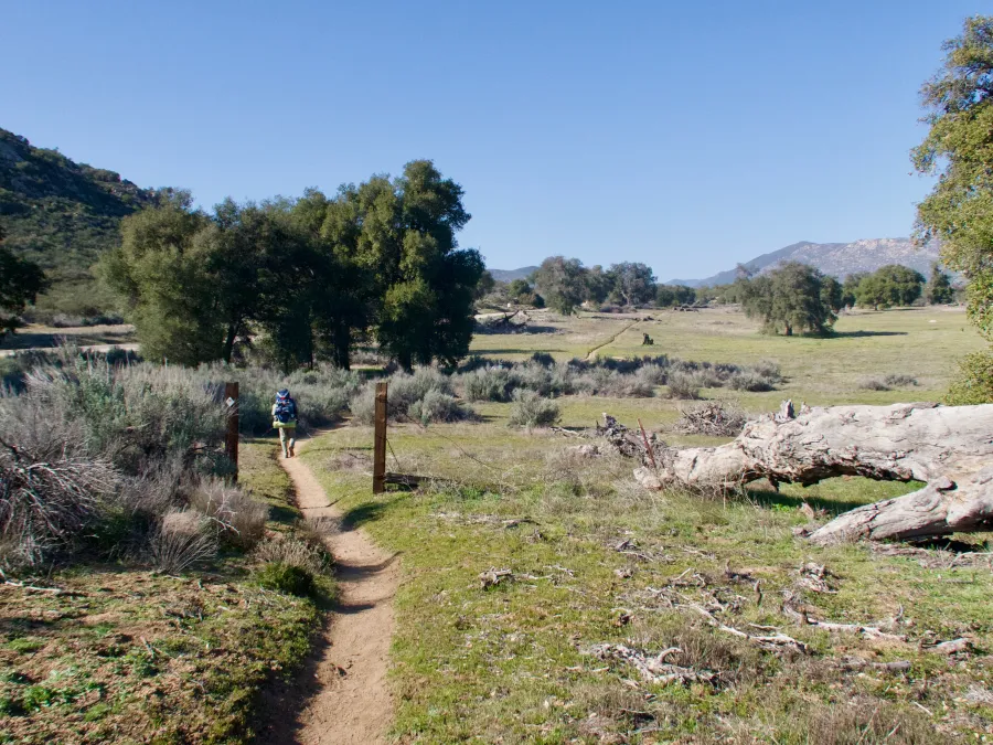 Flat, open trail