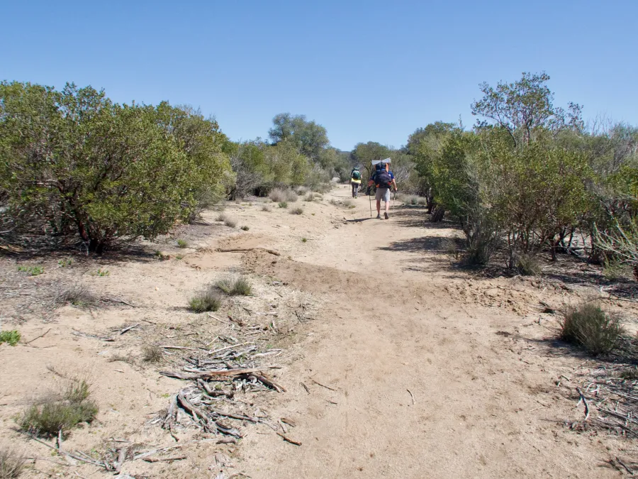 Wide desert trail