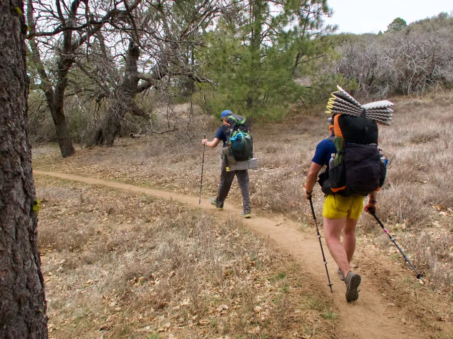 Leaving Desert View Picnic Area
