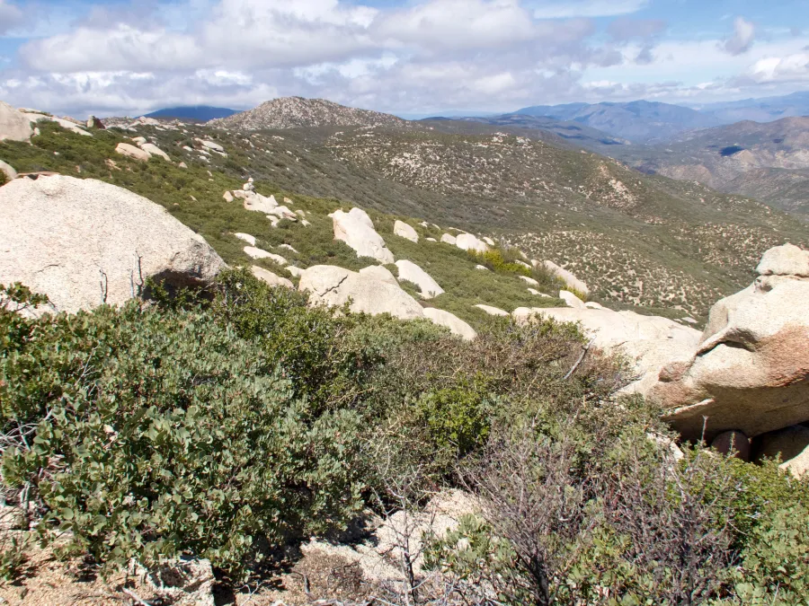 Large boulders