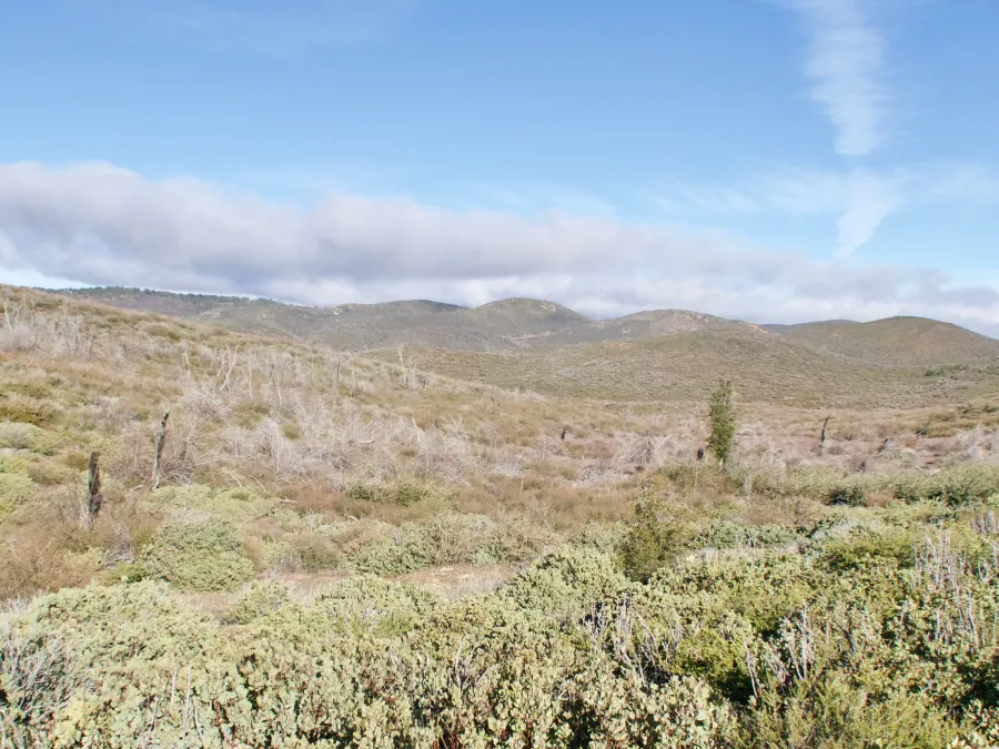 Basin near Laguna Mountains