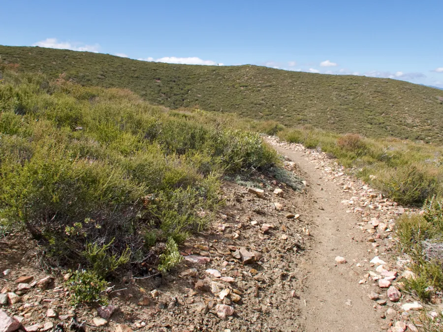 Smooth trail