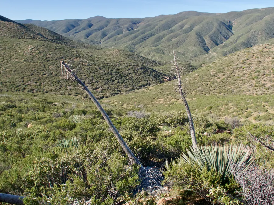 View of Chariot Canyon