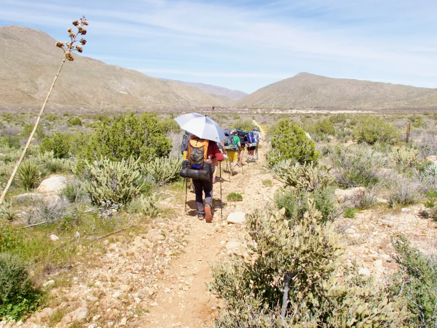 Tramily walking in the desert