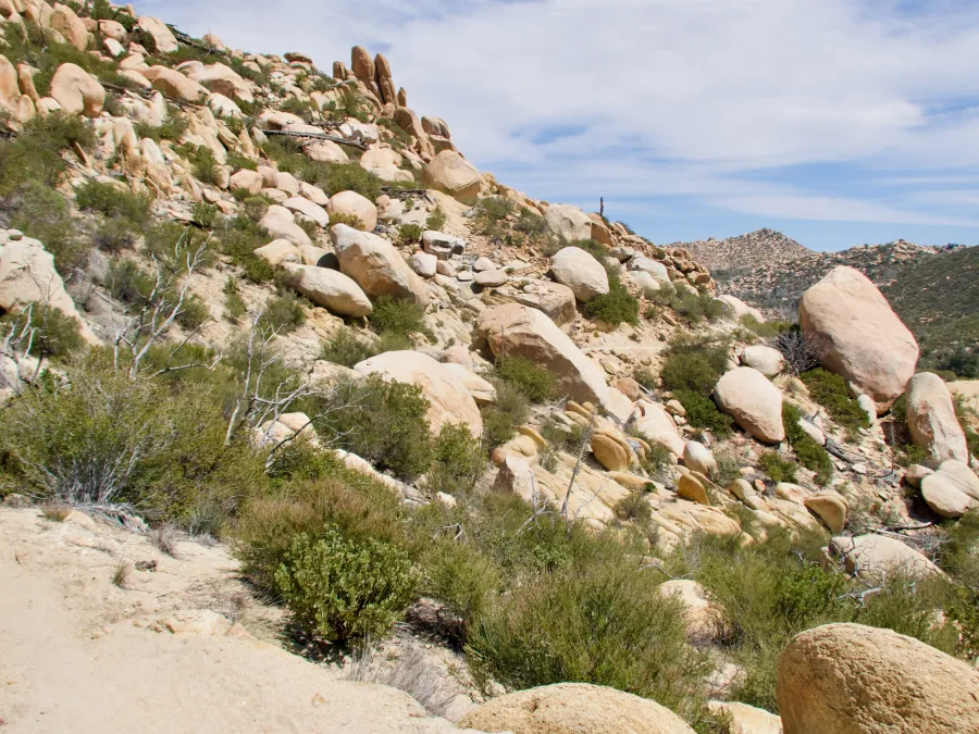 Large boulders