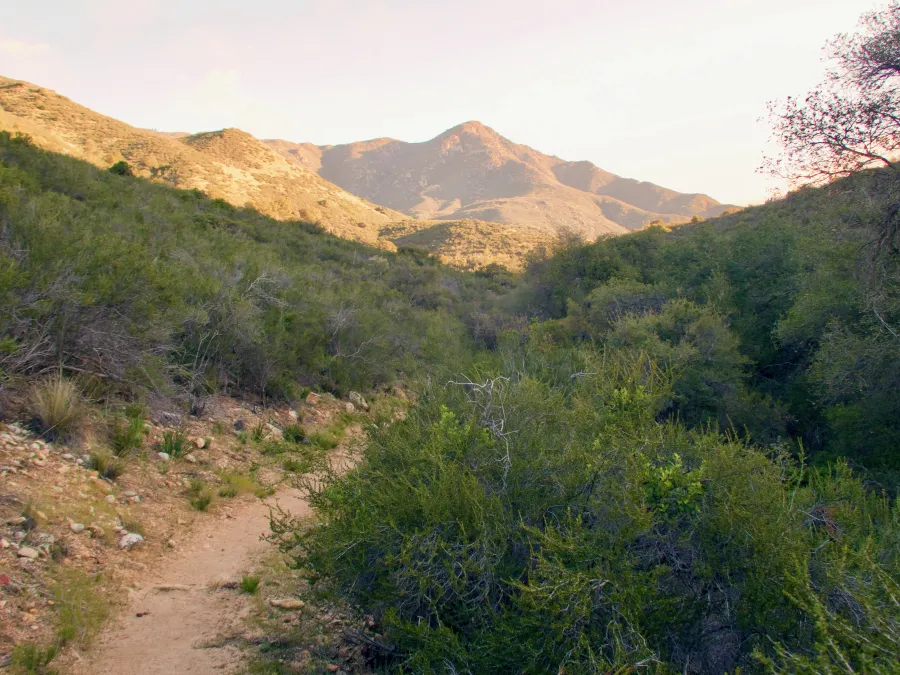 Leaving Agua Caliente Creek