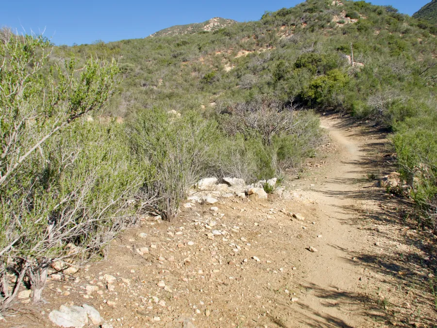 Continuing the climb