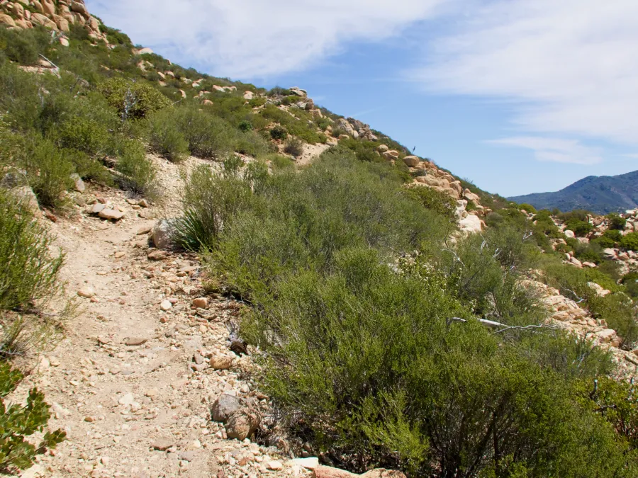 Rocky trail