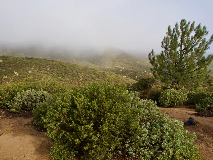 Low clouds