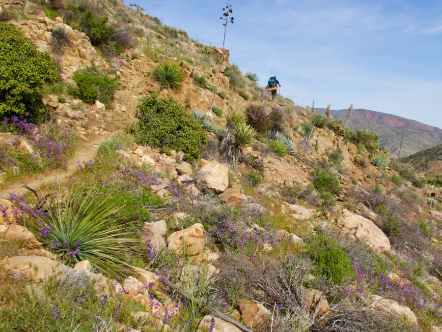 The trail climbs more steeply