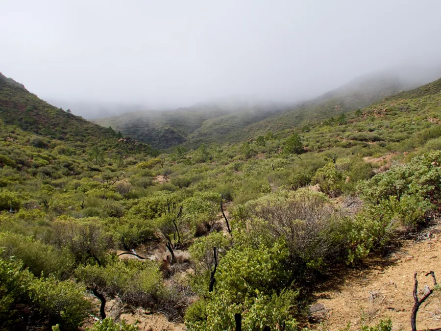 More clouds over Anza-Borrego Desert State Park
