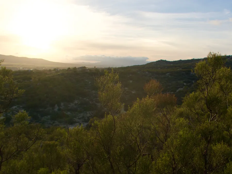 Setting sun