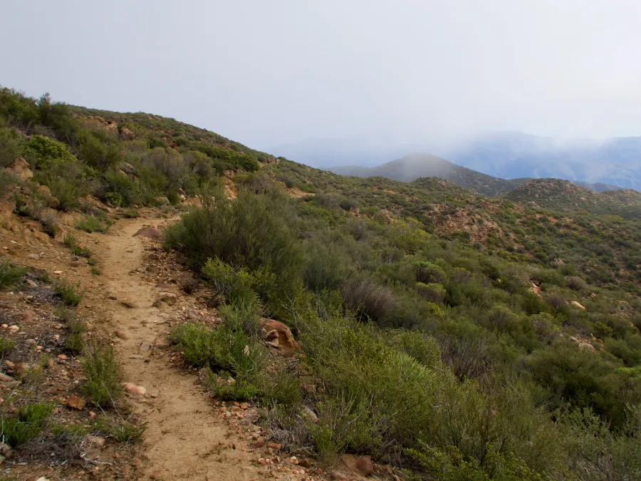The PCT begins to climb