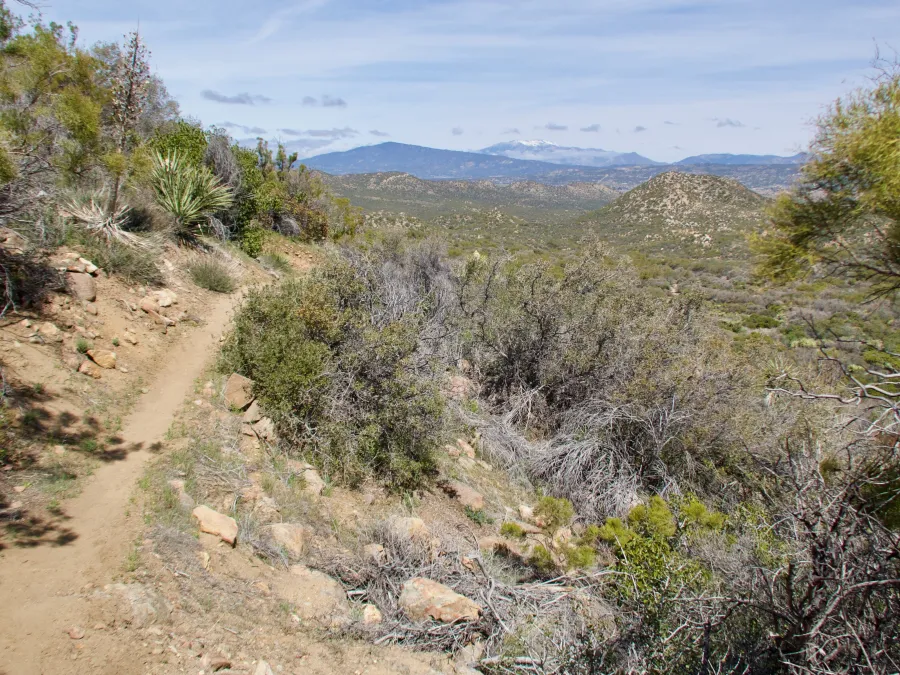 The Pacific Crest Trail at Anza-Borrego Desert State Park 