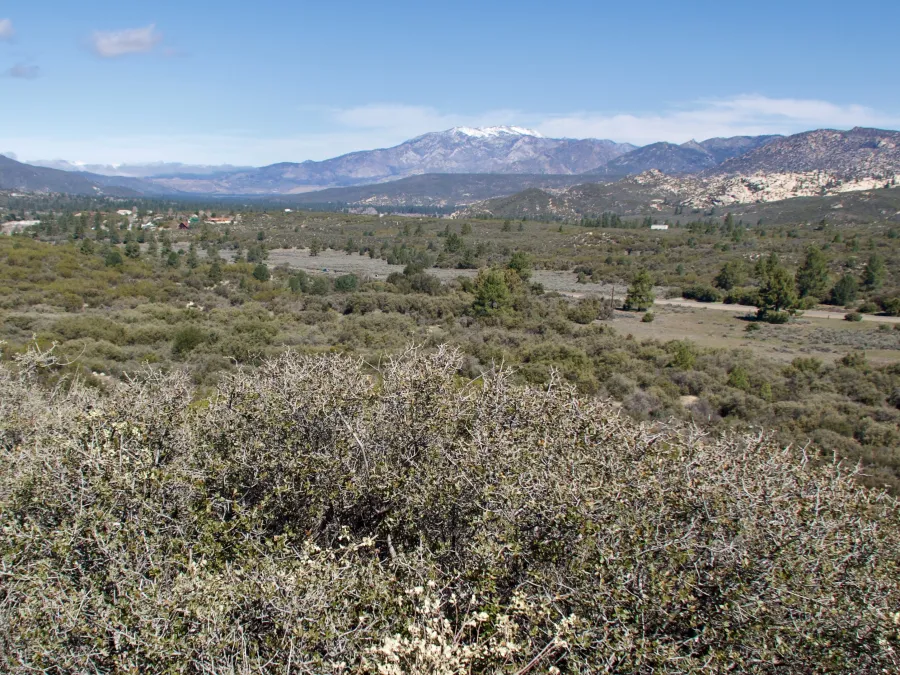 View of San Jacinto Mountains