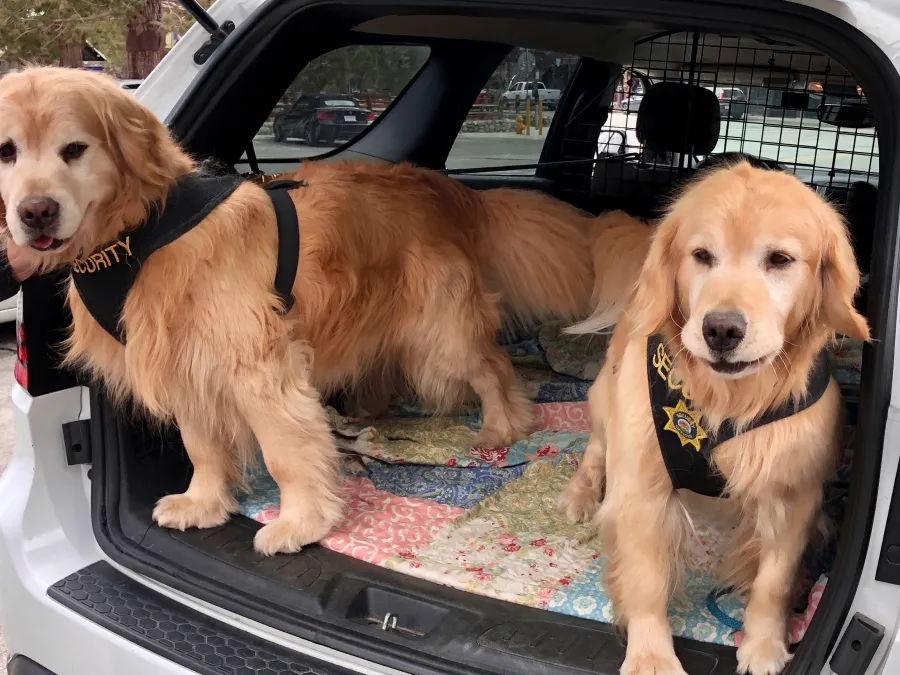 Mayor Max's security team