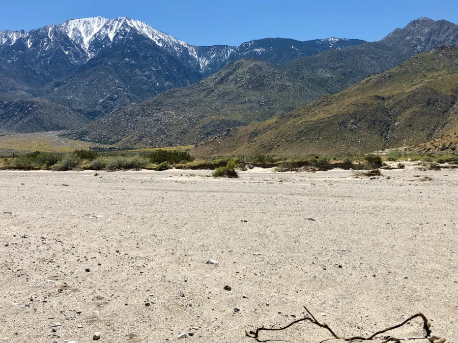 Desert sand