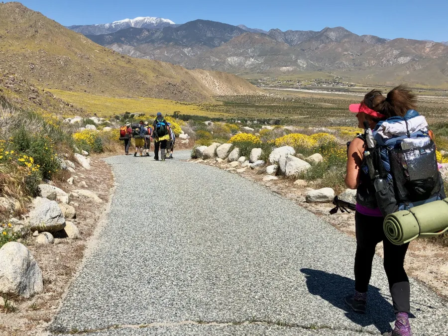 Walking on paved trail