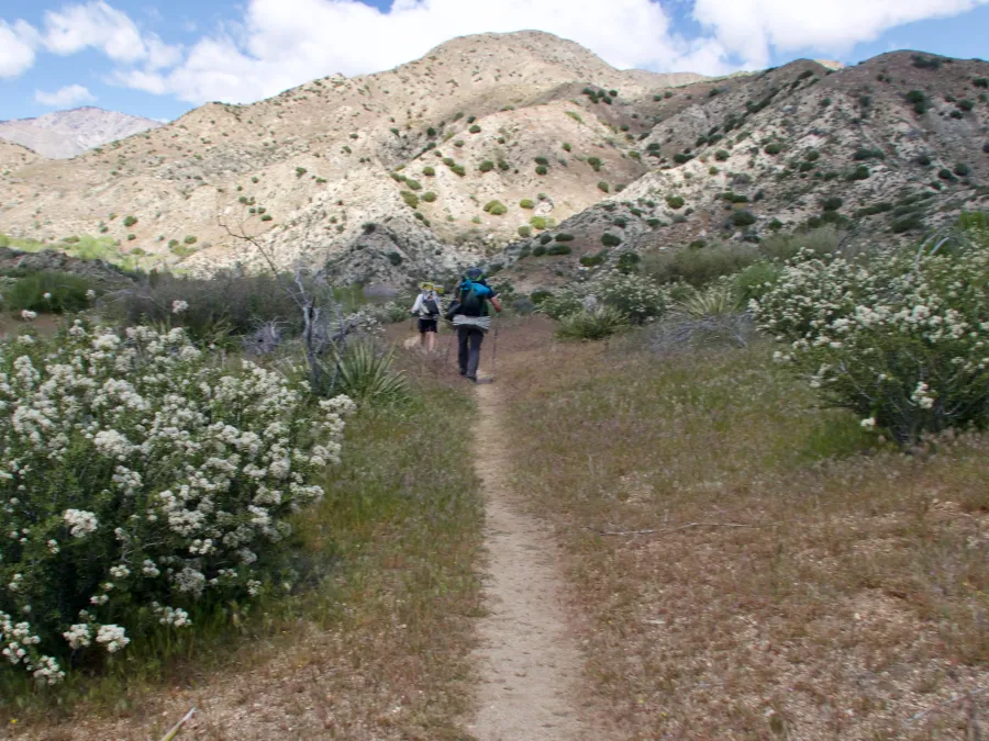 Smooth trail