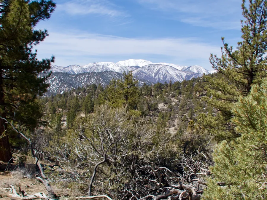View of San Gorgonio Mountain