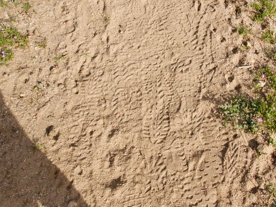 Footprints in the sand