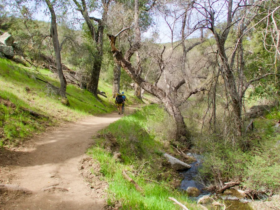 Creek near Warner Springs