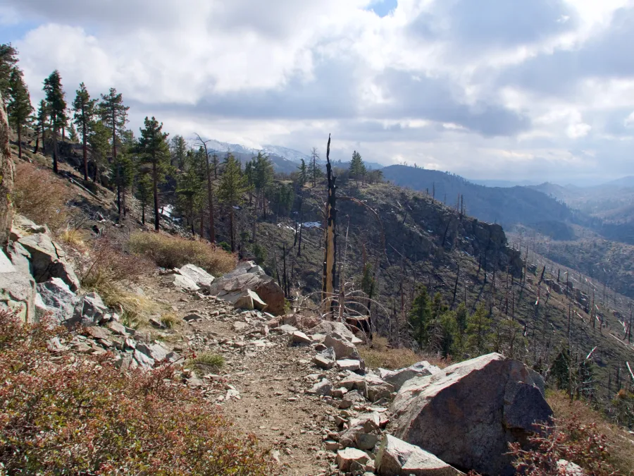 large burn area