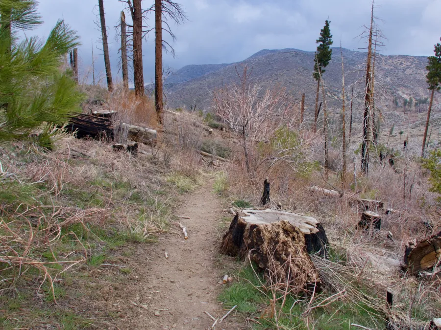 Descending trail