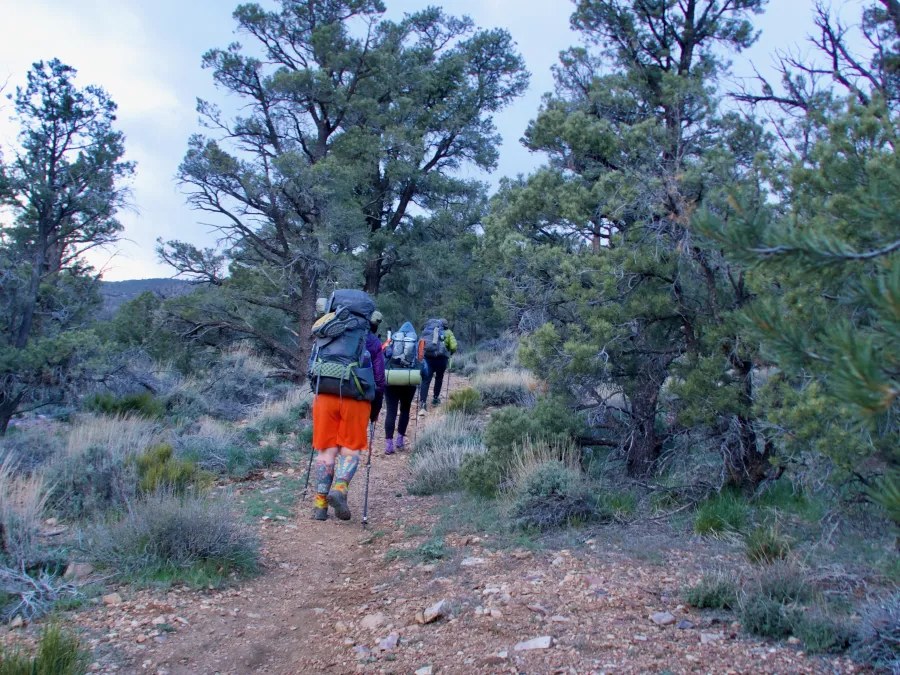 Hiking on the PCT