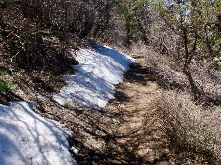 Snow on trail