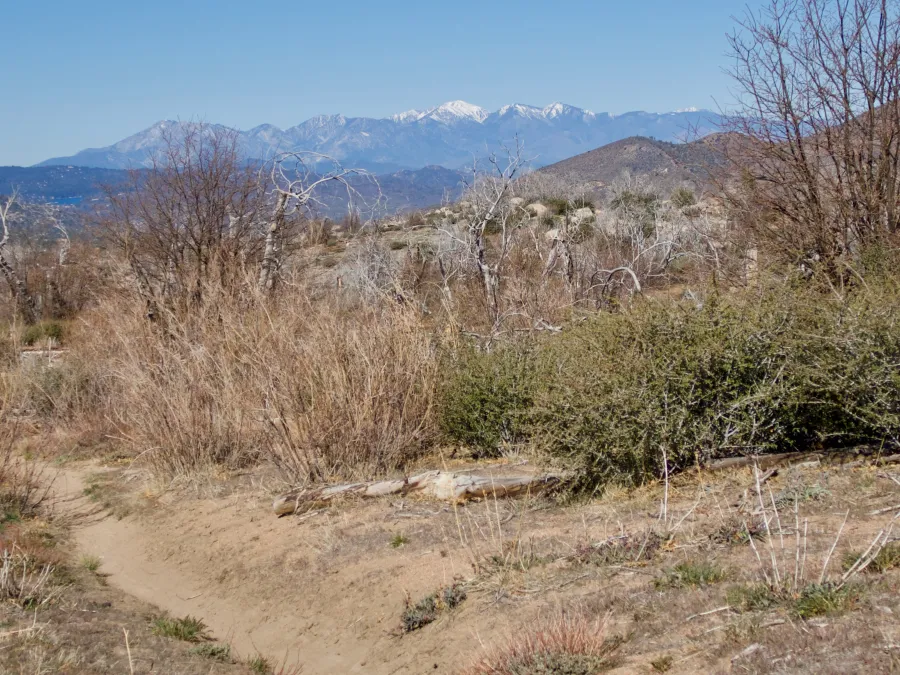View of Mount Baden-Powell
