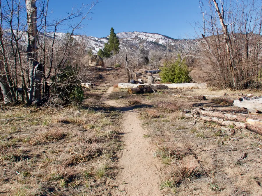 Flat trail