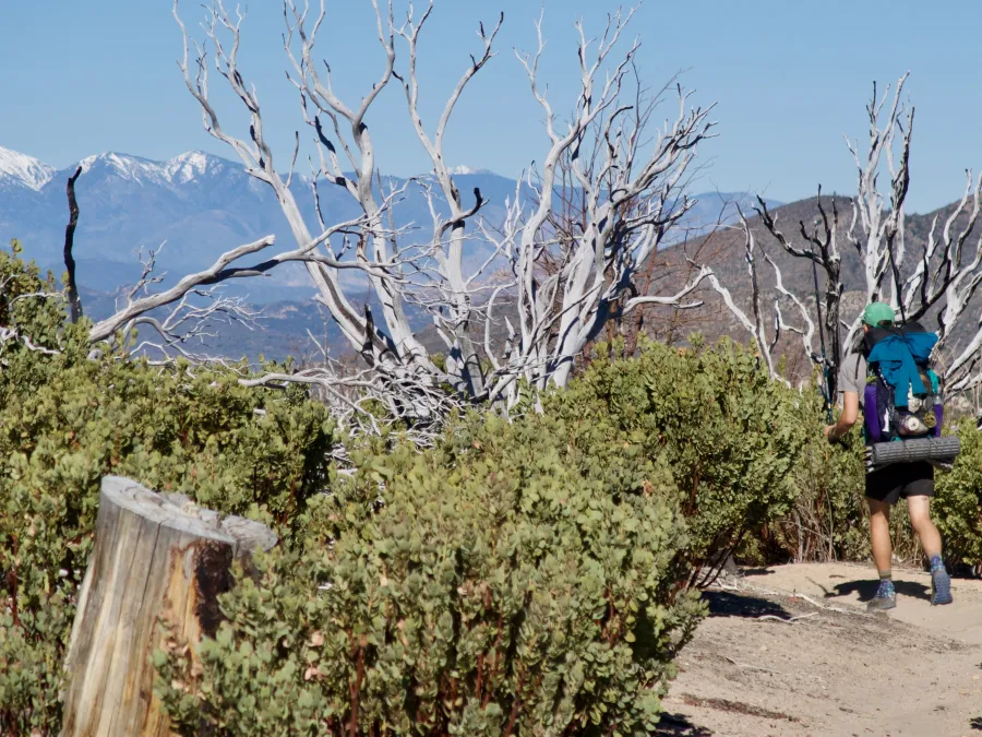 View of Mount Baden-Powell from the Pacific Crest Trail