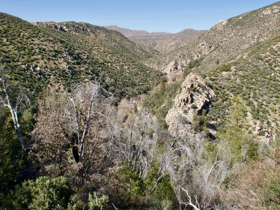 Rugged canyon