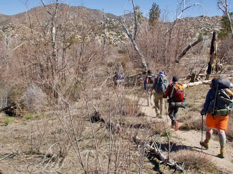 Walking through a burn area