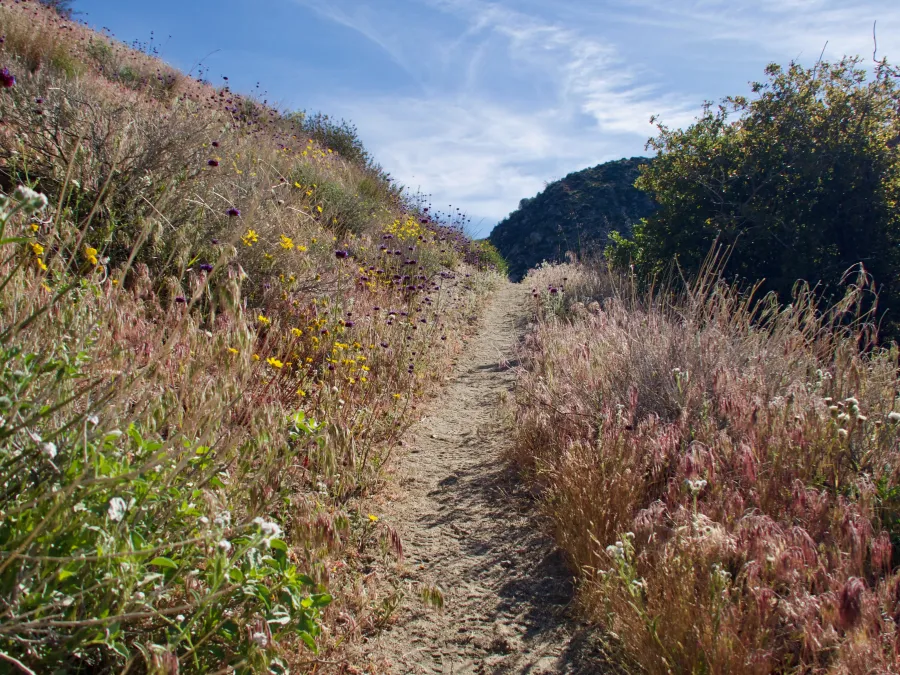 Smooth path