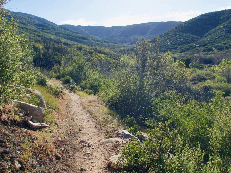 The PCT in the late afternoon